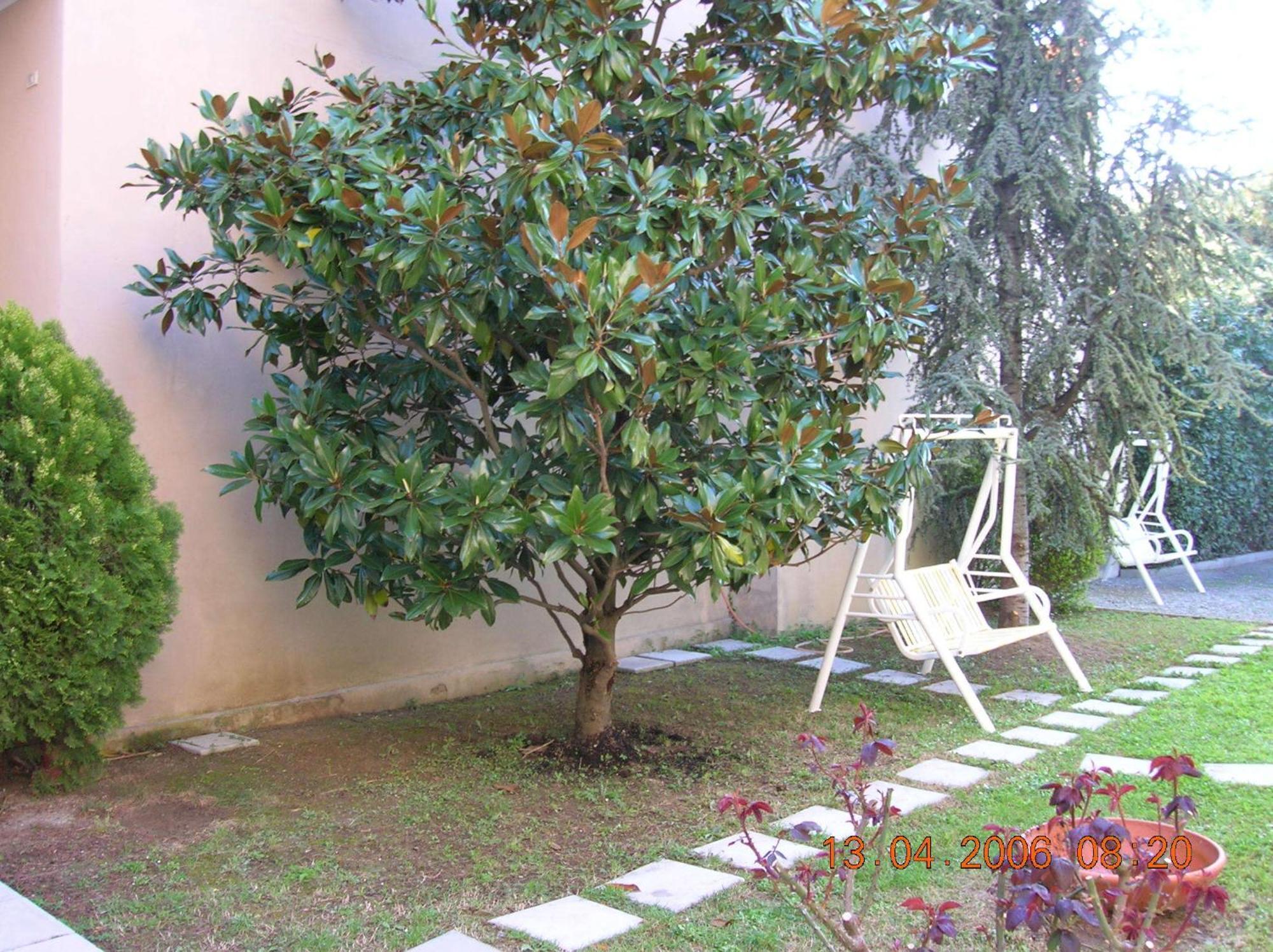 Hotel Trieste Senigallia Esterno foto